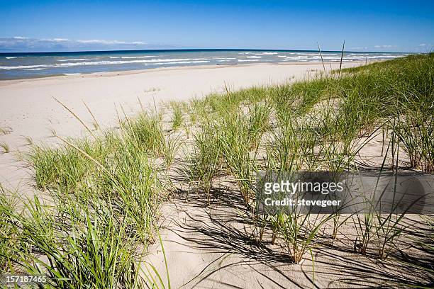 grassy dunas de areia e lago michigan - indiana v michigan imagens e fotografias de stock