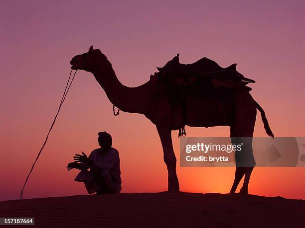 Sam Handler Tv 19 Sam Handler Stock Photos, High-Res Pictures, and Images - Getty Images