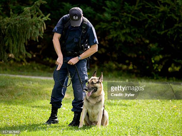 cane poliziotto formazione - cane poliziotto foto e immagini stock