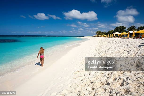 paradis des caraïbes - anguilla photos et images de collection