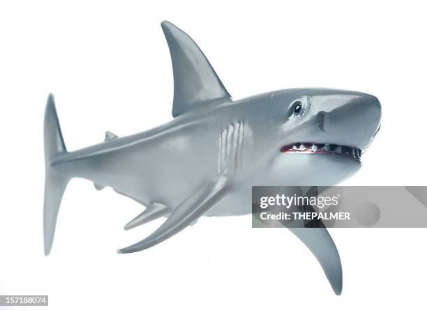 the great white - toy animal stock pictures, royalty-free photos & images