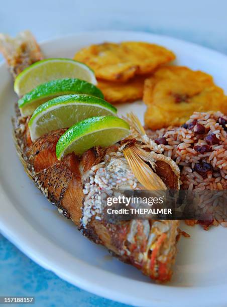 gebratenen schnapperfisch - schnapper stock-fotos und bilder