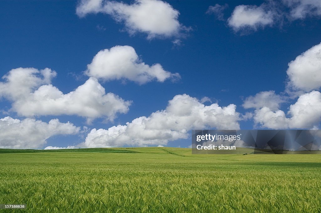 Beautiful Farmlands