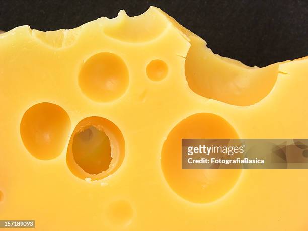 cheeeeeeeeese!!!!! - emmental cheese stock pictures, royalty-free photos & images