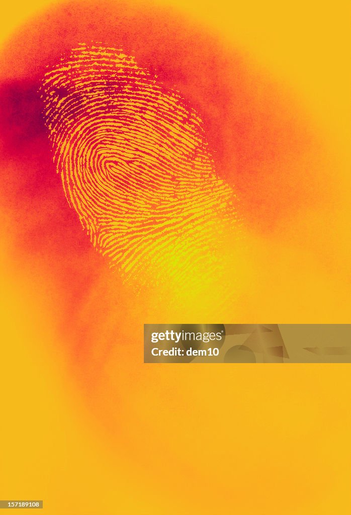 Infared Thermal Camera with Fingerprint