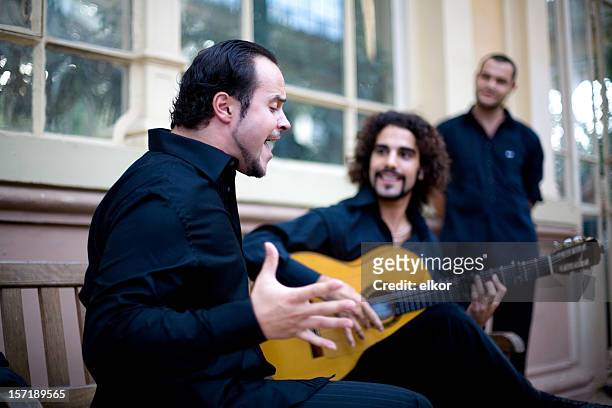 flamenco passion - flamencos stock pictures, royalty-free photos & images
