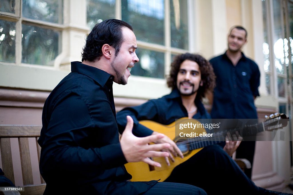 Flamenco passion