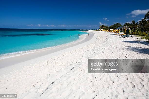 pittoresque plage des caraïbes - anguilla photos et images de collection