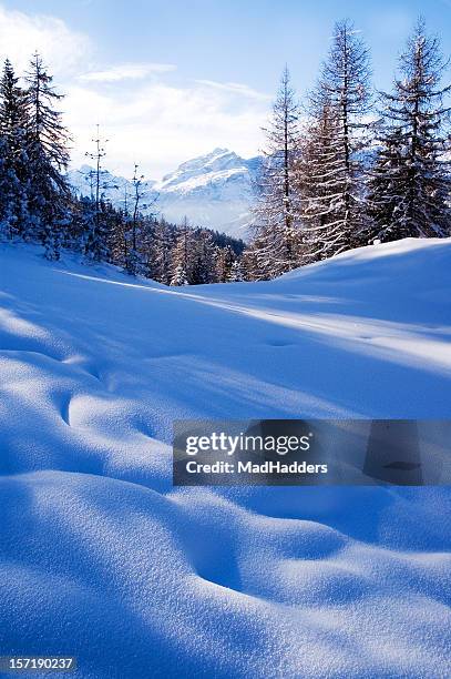 peaceful dolomite winter scene - book top view stockfoto's en -beelden