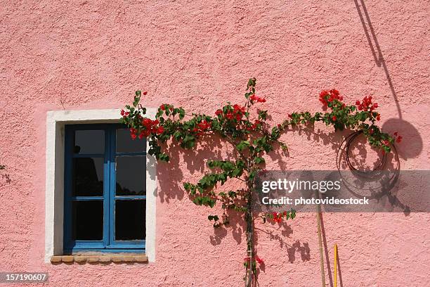 blue window, red flowers, pink wall - sardinian cuisine stock pictures, royalty-free photos & images