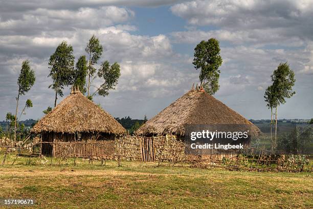 アフリカハッツ - bushmen ストックフォトと画像