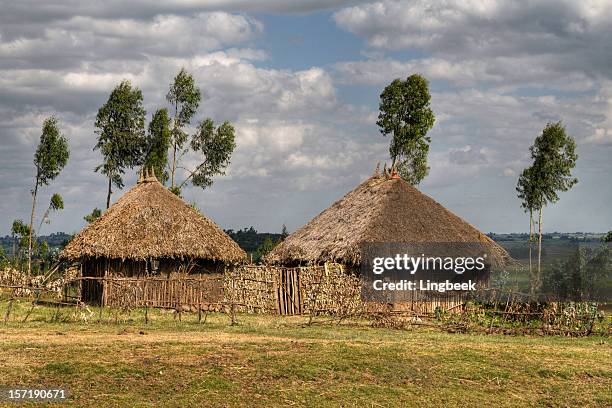 african huts - thatched roof huts stock pictures, royalty-free photos & images