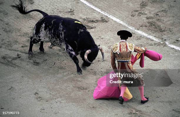 toreador - bullfight - bullfight 個照片及圖片檔