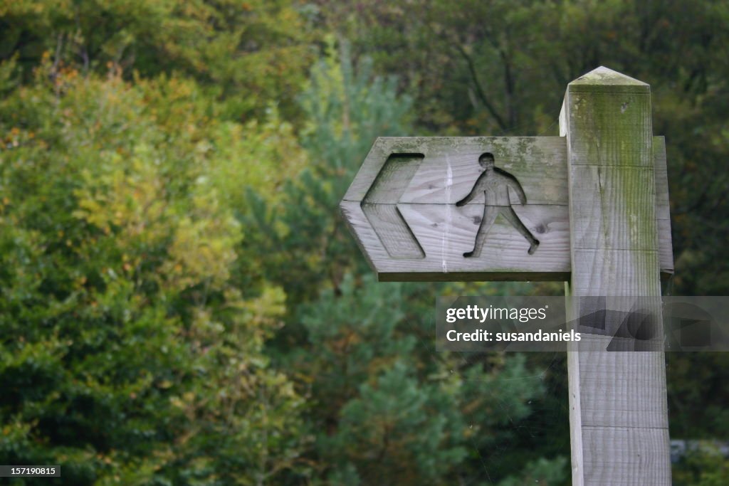 Hölzerne Schild in einem Wald mit Richtung