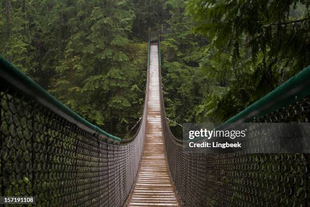 pont suspendu de lynn canyon - pont suspendu photos et images de collection