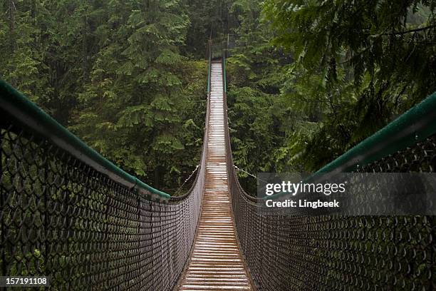 lynn canyon suspension bridge - touwbrug stockfoto's en -beelden