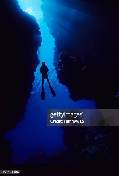 diver in cave opening - south pacific ocean bildbanksfoton och bilder