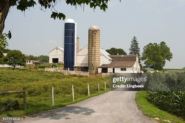 amish farm - via láctea fotografías e imágenes de stock