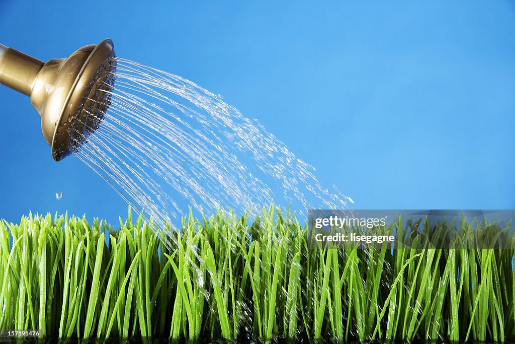 Pouring Grass