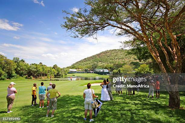 golf spectators sun city - golf crowd stock pictures, royalty-free photos & images