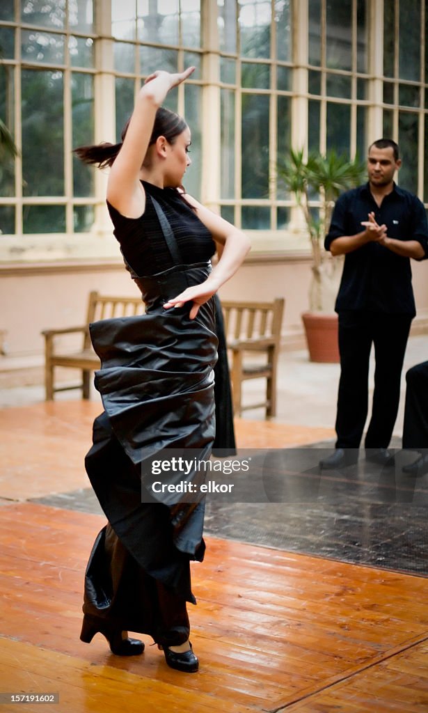 Flamenco female dancer performing with a group of singers.