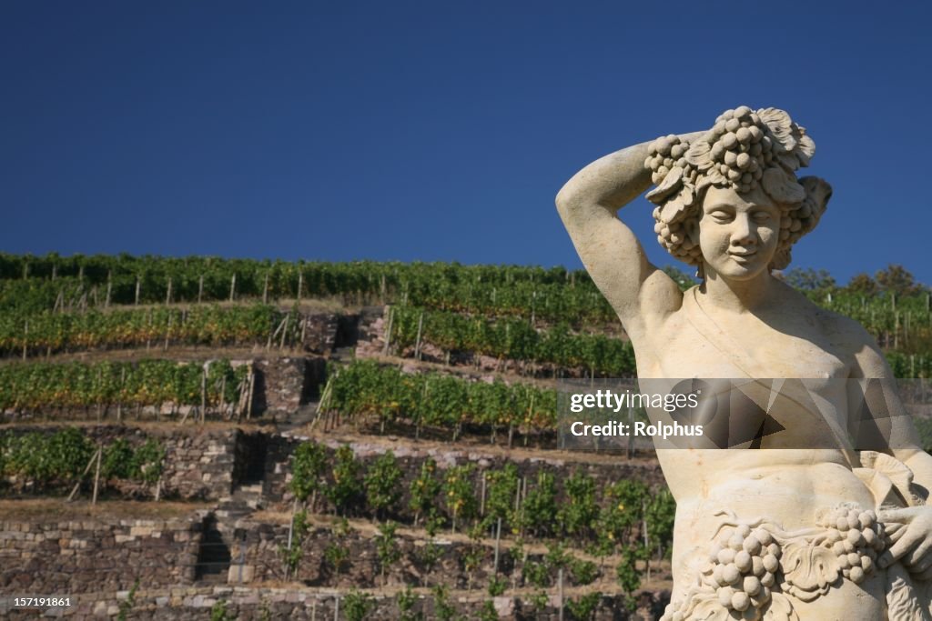 Wackerbarth Vineyard with Statuea