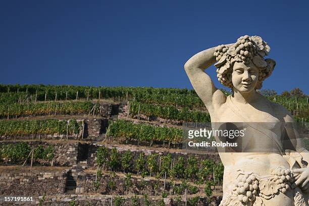 wackerbarth vineyard with statuea - dionysus stock pictures, royalty-free photos & images