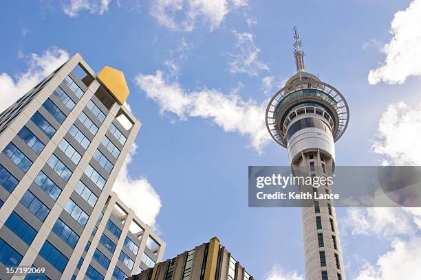 auckland, new zealand from a pedestrians view - sky tower bildbanksfoton och bilder