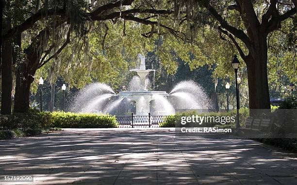 stone walkway and water fountain in the park - fontein stockfoto's en -beelden