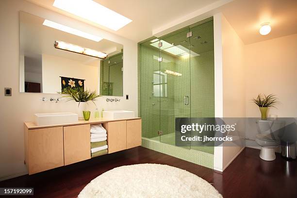 spacious modern bathroom - skylight stock pictures, royalty-free photos & images