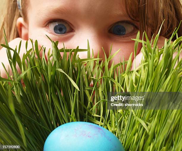 easter ostereiersuche - looking for something stock-fotos und bilder