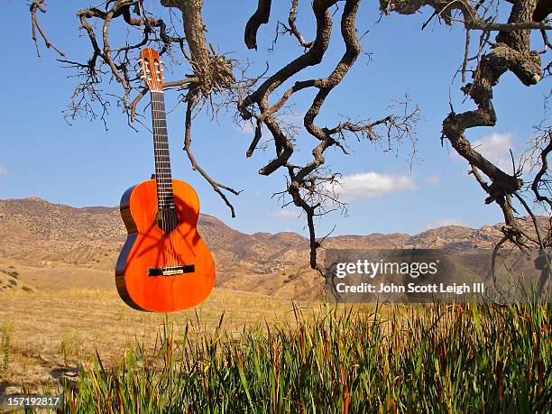 classical guitar - album cover stock pictures, royalty-free photos & images