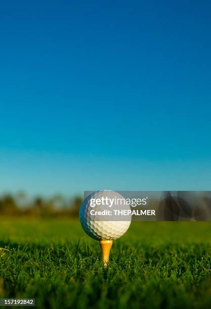 pallina da golf - golf tee foto e immagini stock