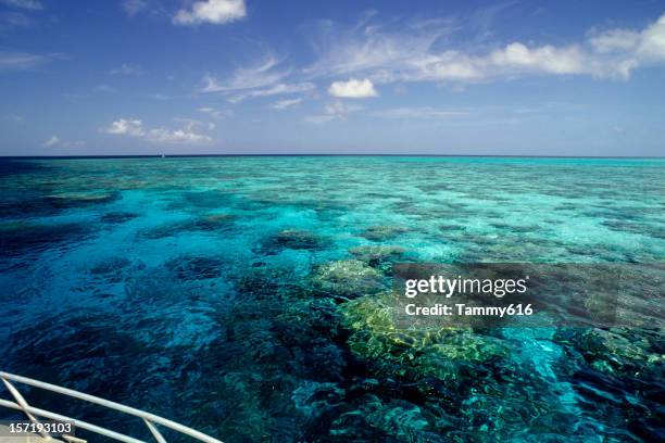 reef ride - groot barrièrerif stockfoto's en -beelden