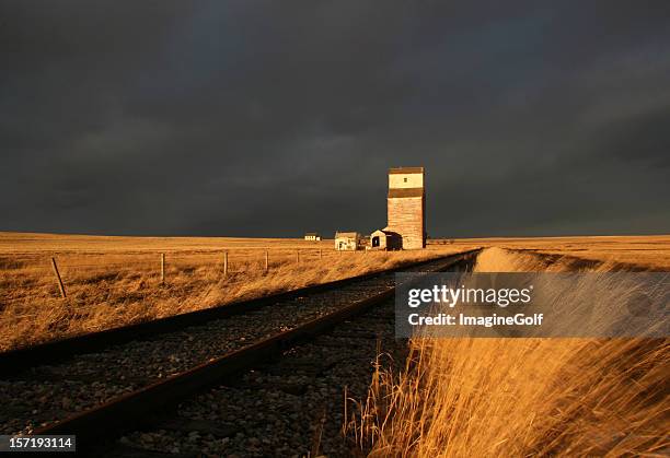 prairie tracks - alberta farm scene stockfoto's en -beelden