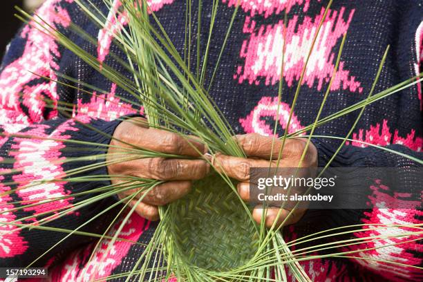 tarahumara woman making pine-needle baskets - tarahumara 個照片及圖片檔