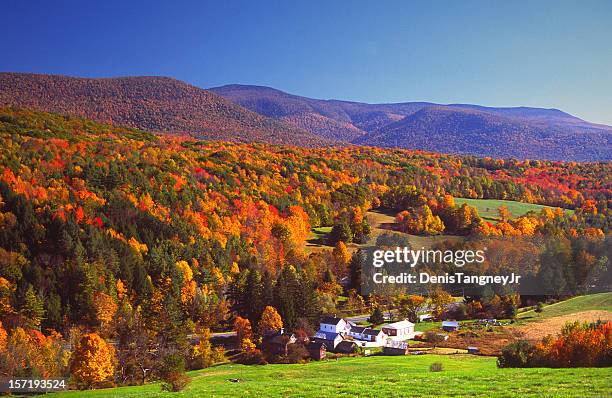 outono cores - massachusetts imagens e fotografias de stock