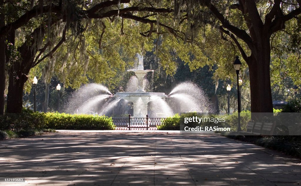 Fountain In The Park