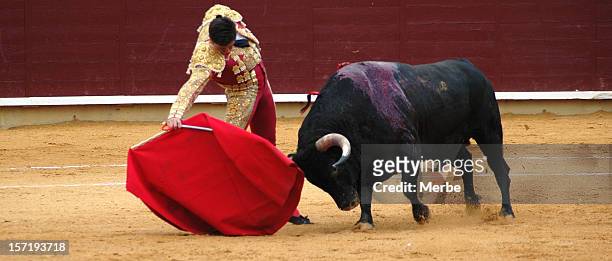 bullfighter's pass - bullfighter stock pictures, royalty-free photos & images