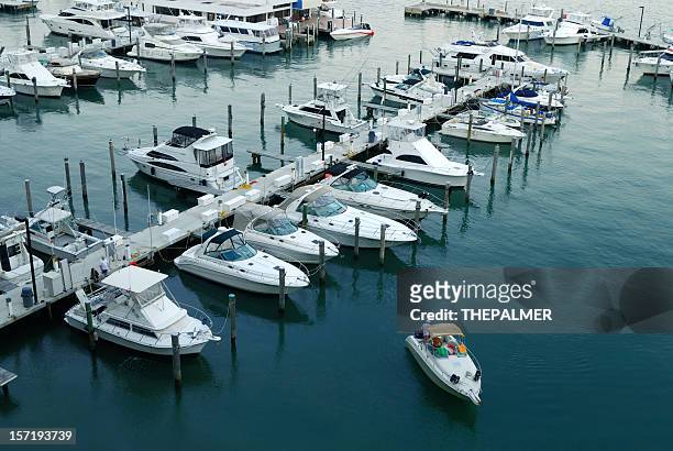 miami marina - moored stock pictures, royalty-free photos & images