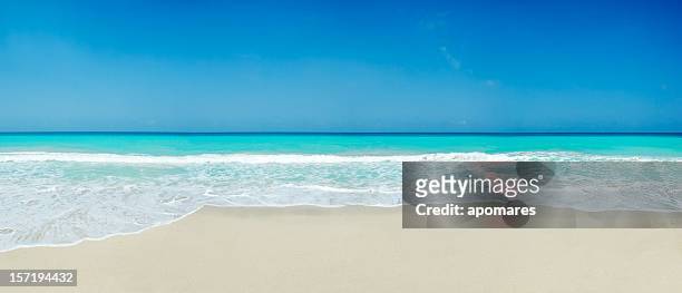 tropical white sand beach - caribbean 個照片及圖片檔