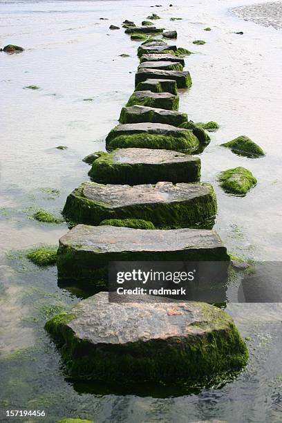 mossy stepping stones - bridge concept stock pictures, royalty-free photos & images