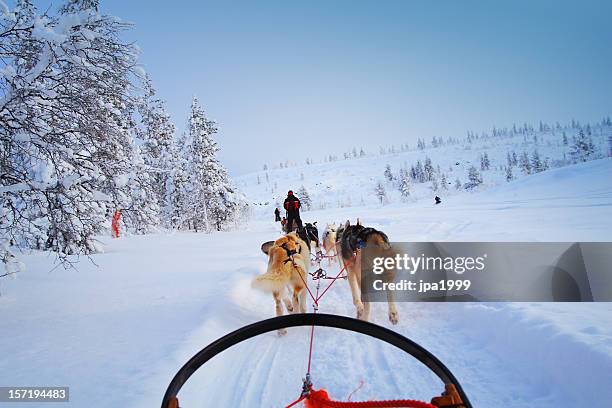 Husky Riders 435 Husky Ride Stock Photos, High-Res Pictures, and Images - Getty Images