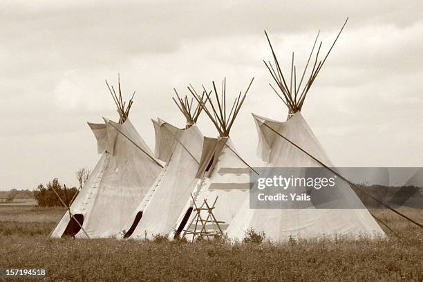 four teepees - teepee stock pictures, royalty-free photos & images