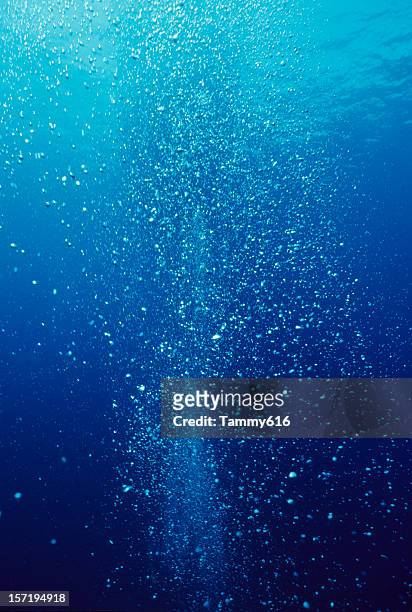 ocean view of hundreds up bubbles rising to surface - bubble bildbanksfoton och bilder