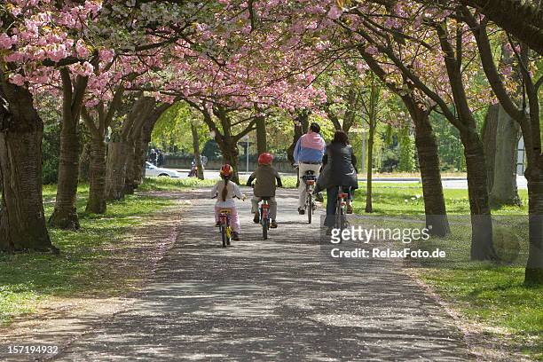 rear view of family cycling in spring under cherry trees - canopy walkway stock pictures, royalty-free photos & images