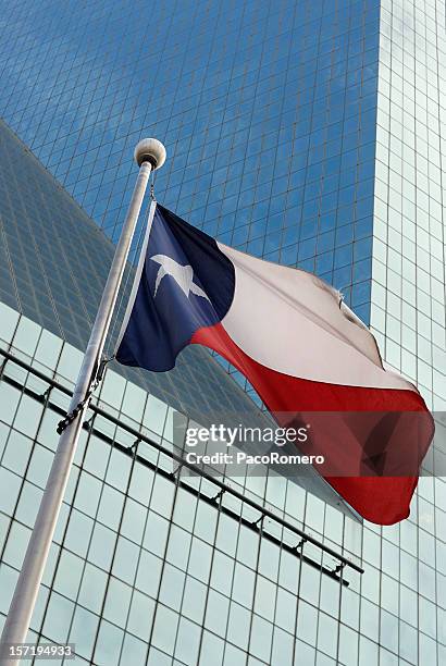 Texas Instruments Flag Tx State Flag Photos and Premium High Res Pictures - Getty Images