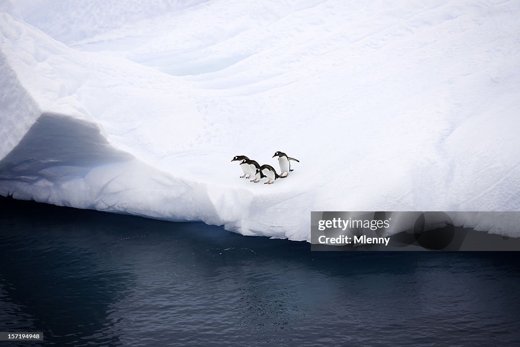 Pingüinos en iceberg Antártida