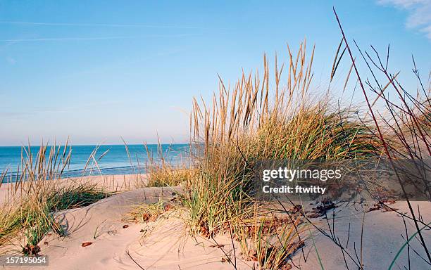 lake michigan - lake michigan stock pictures, royalty-free photos & images