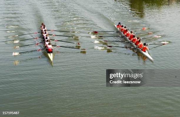 8 mannes rudern race-wettbewerb - riemen stock-fotos und bilder